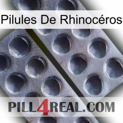 Pilules De Rhinocéros 31